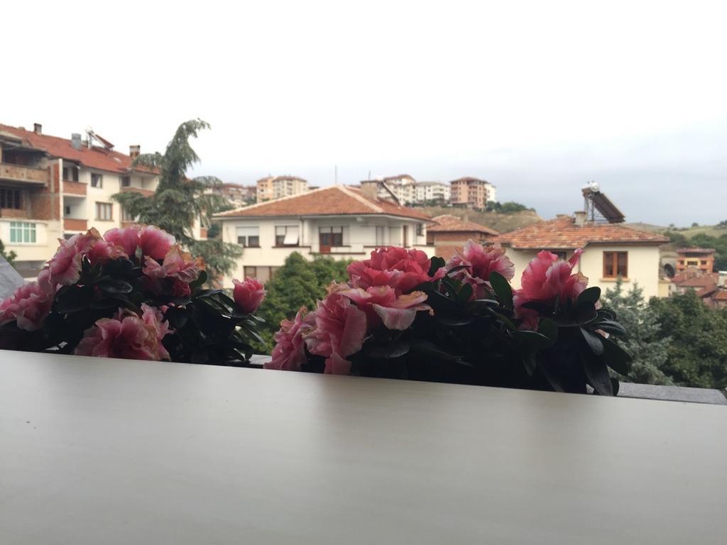 Bora Apartment Sandanski Ruang foto